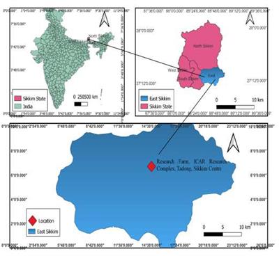 Development of organic nutrients management system for profitable and soil-supportive French bean (Phaseolus vulgaris L.) farming in North Eastern Himalayas, India